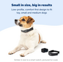 PETSAFE NANO BARK COLLAR