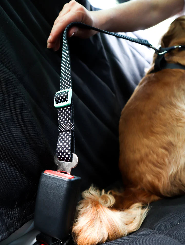 Doog Pongo Car Restraint