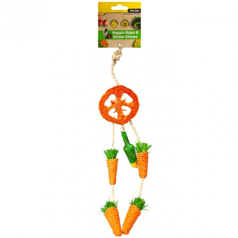 VEGGIE ROPE AND STRAW CHEW HANGING DREAMCATCHER