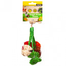 VEGGIE STRAW CHEW BROCCOLI HANGING 14CM