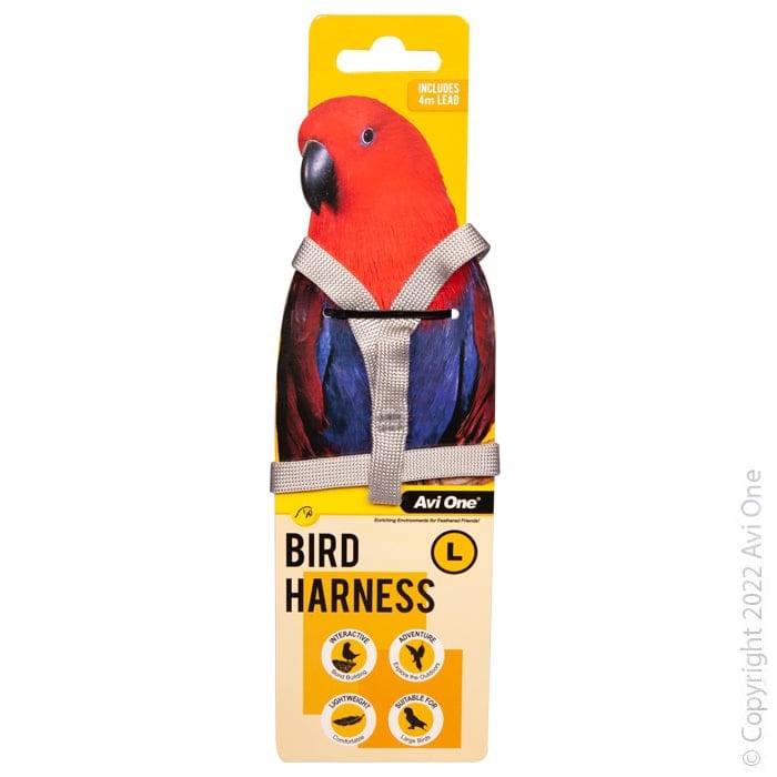 AVI ONE BIRD HARNESS W/LEAD LARGE