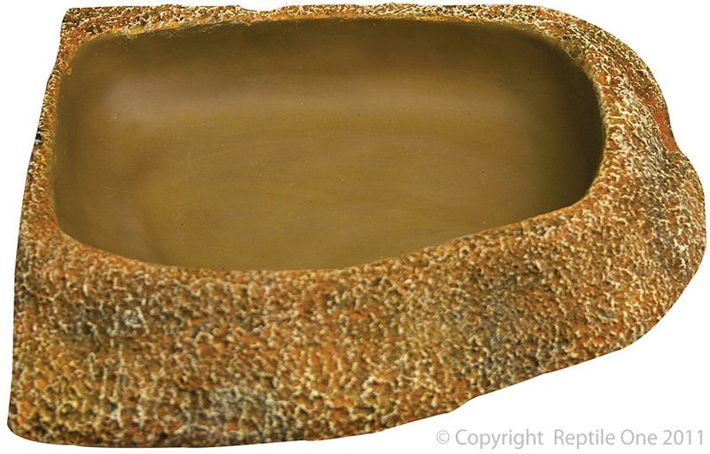 DYNO ROCK BOWL CORNER REGULAR DISH 20X16X4CM