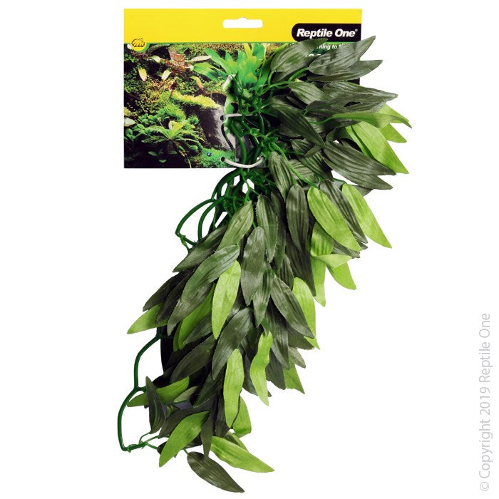 TRADESCANTIA CASCADING PLANT 40CM GREEN