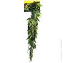 TRADESCANTIA CASCADING PLANT 72CM GREEN