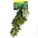 VARIGATED IVY CASCADING PLANT 40CM GREEN