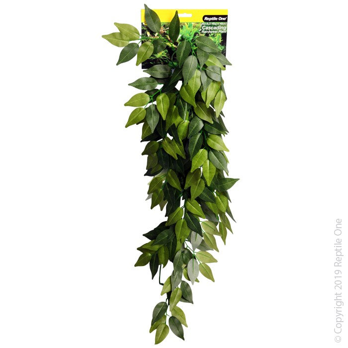 VARIGATED IVY CASCADING PLANT 72CM GREEN