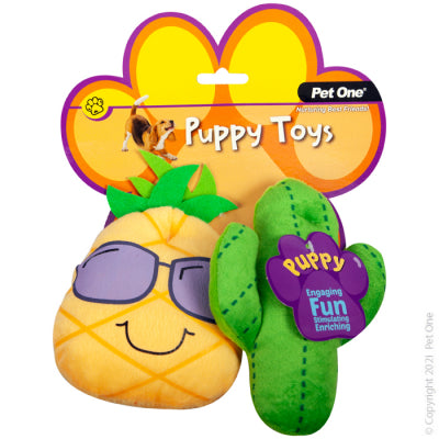 DOG TOY PUPPY CACTUS FAMILY ASSORTED 2PCS SET