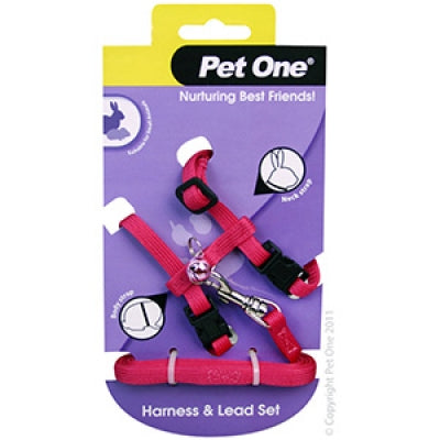 PET ONE SMALL ANIMAL HARNESS & LEASH PINK