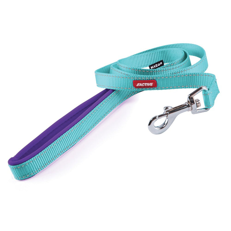 PADDED NYLON LEAD 25MM 122CM AQUA