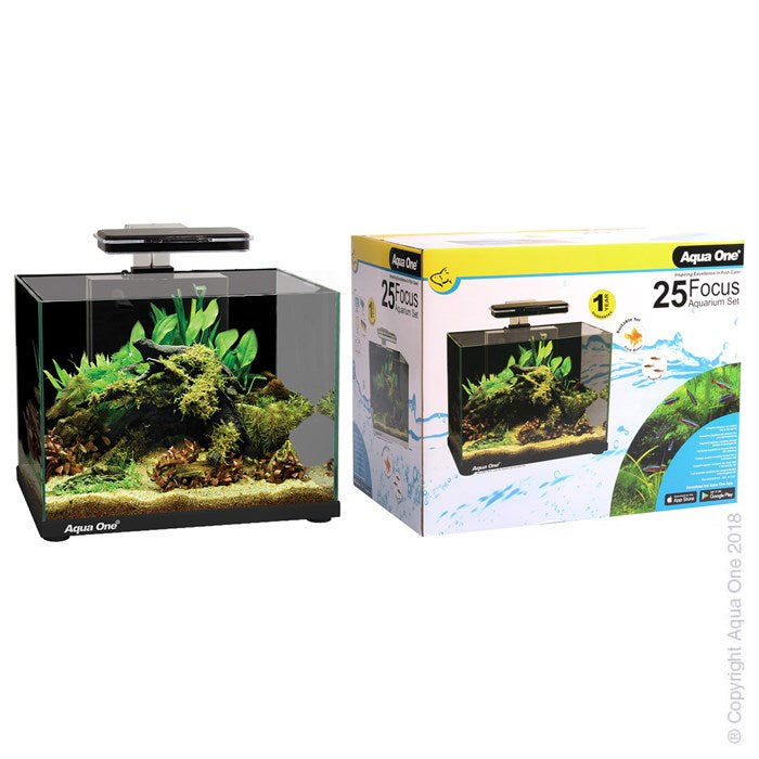 AQUA ONE FOCUS 25 AQUARIUM 40X25X31CM BLACK