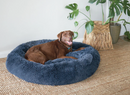 *KAZOO PEACOCK BED CLOUDY BLUE XLARGE