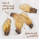 KAZOO PRIME CUTS COW EARS 4PK