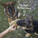 KAZOO PRIME CUTS COW EARS 4PK