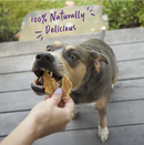 KAZOO PRIME CUTS CHICKEN BREAST 100G