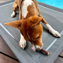 KAZOO PRIME CUTS KANGAROO SAUSASGE BITES 200G