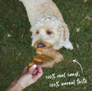 KAZOO PRIME CUTS PIG EAR 12PK