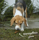 KAZOO PRIME CUTS PIG EAR STRIPS 100G