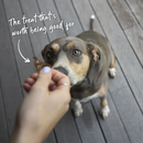 KAZOO PRIME CUTS BEEF LUNG CUBES 500G