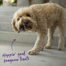 KAZOO PRIME CUTS KANGAROO STEAK STRIPS 500G