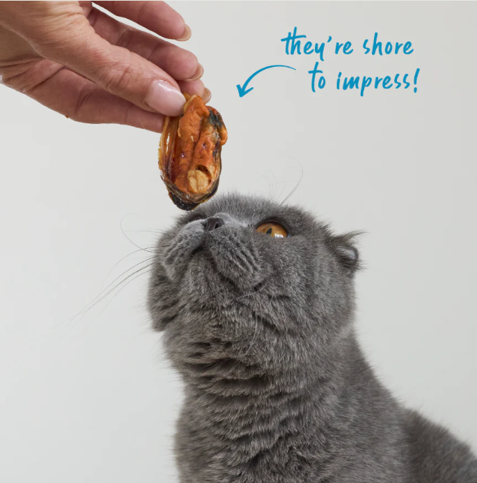 KAZOO PRIME CUTS CAT MUSSELS 60G
