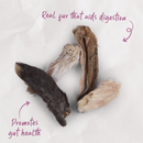 KAZOO PRIME CUTS CAT BUNNY EARS 4PK