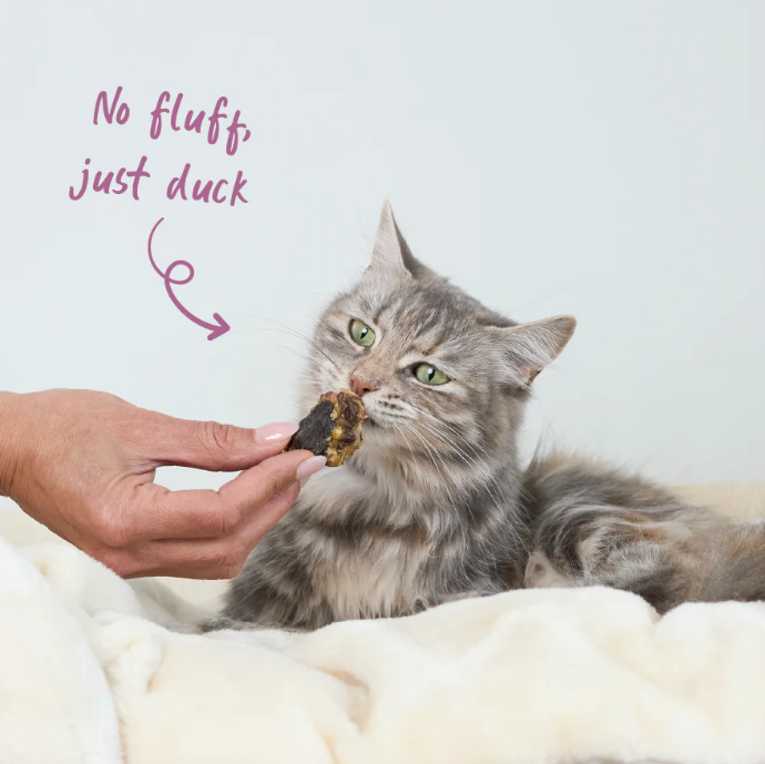KAZOO PRIME CUTS CAT DUCK HEART 60G