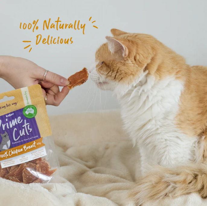 KAZOO PRIME CUTS CAT CHICKEN BREAST 60G