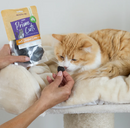 KAZOO PRIME CUTS CAT CHICKEN LIVER 60G