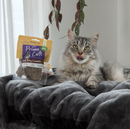 KAZOO PRIME CUTS CAT BEEF LUNG CRUMBLE 60G