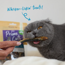 KAZOO PRIME CUTS CAT SARDINES 60G