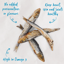 KAZOO PRIME CUTS CAT SARDINES 60G