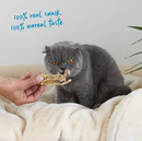 KAZOO PRIME CUTS CAT ANCHOVIES 60G