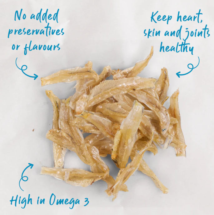 KAZOO PRIME CUTS CAT ANCHOVIES 60G