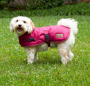KAZOO ADVENTURE COAT CHERRY SMALL 40.0CM