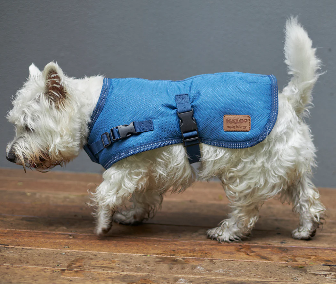 KAZOO ADVENTURE COAT RIVER SMALL 40.0CM