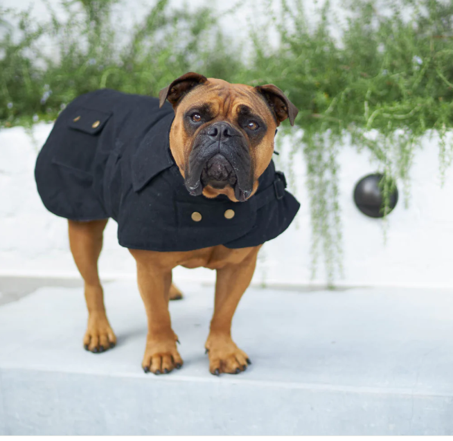 KAZOO AUSSIE OILSKIN COAT BLACK 40CM