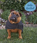 KAZOO ADVENTURE COAT BLACK SMALL 40.0CM