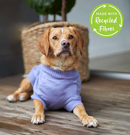 KAZOO HEART KNIT PURPLE 46CM