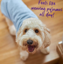 KAZOO HEART KNIT BLUE 46CM