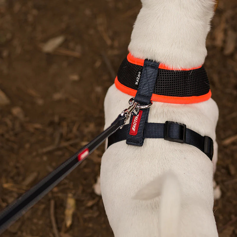 Kazoo Active Soft Walking Harness