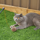 KAZOO CATNIP BUTTERFLY WAND CAT TOY