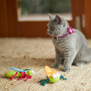 KAZOO CRINKLE BUG CAT TOY