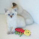 KAZOO CRINKLE LADYBUG CAT TOY