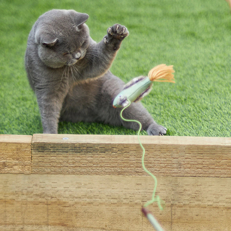 Kazoo Fantail Bird Want Cat Toy