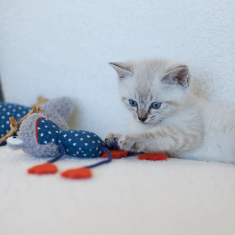 KAZOO FLOPPY FROG CAT TOY