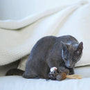 KAZOO HOOTY OWL CAT TOY