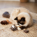 KAZOO HOOTY OWL CAT TOY
