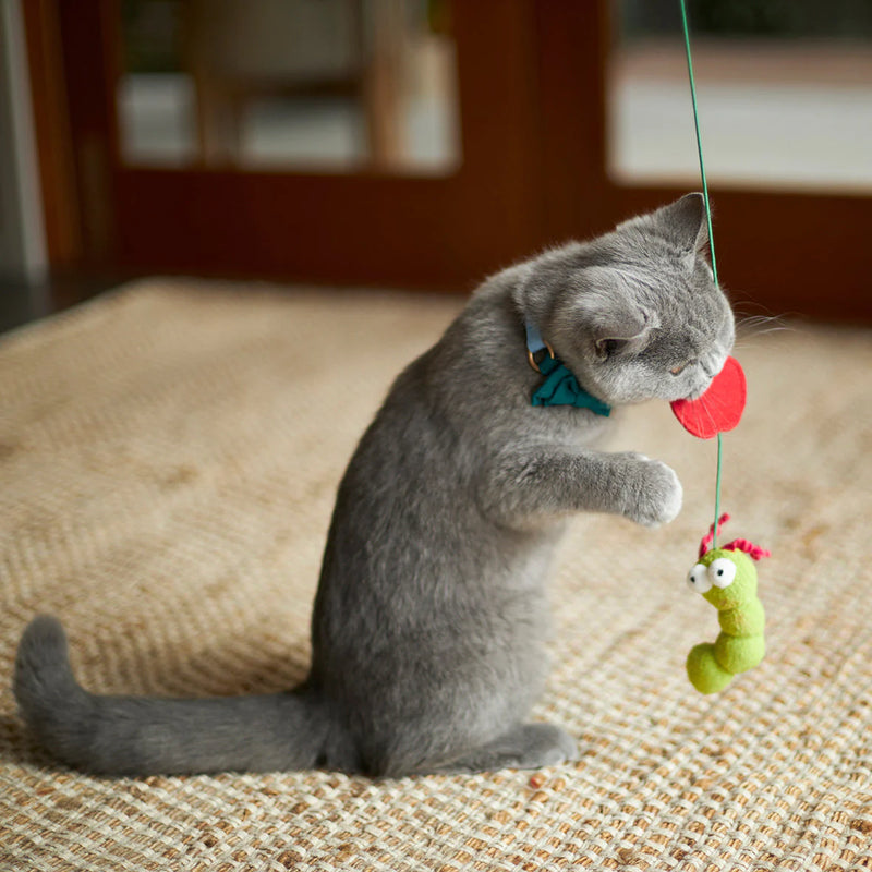 KAZOO HUNGRY CATERPILLAR CAT TOY