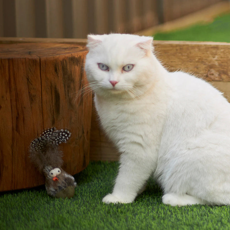 Kazoo Wobble Bird Cat Toy