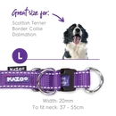 Kazoo Active Adjust Nylon Collar